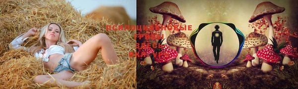 наркотики Саяногорск